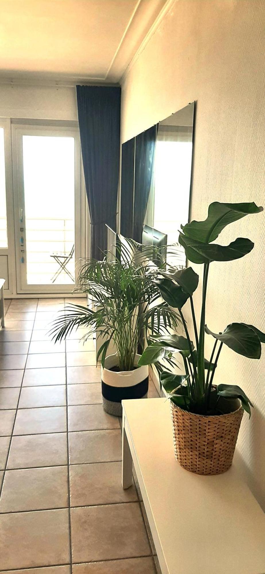 Lo & L'oo Apartment Ostend